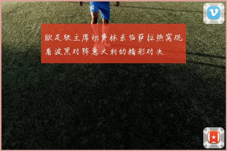 欧足联主席切费林亲临萨拉热窝观看波黑对阵意大利的精彩对决